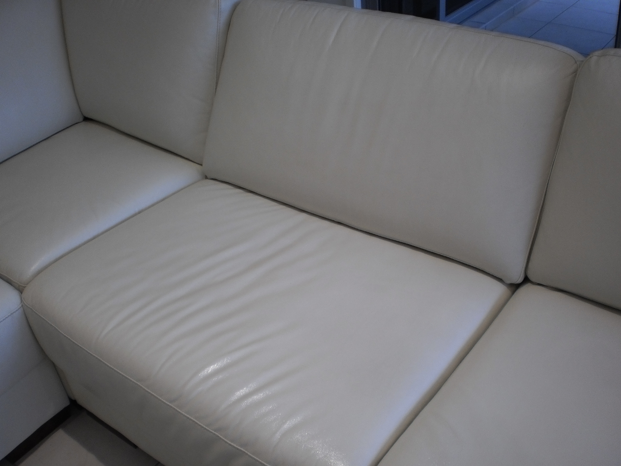 Leather being assessed prior to treatment