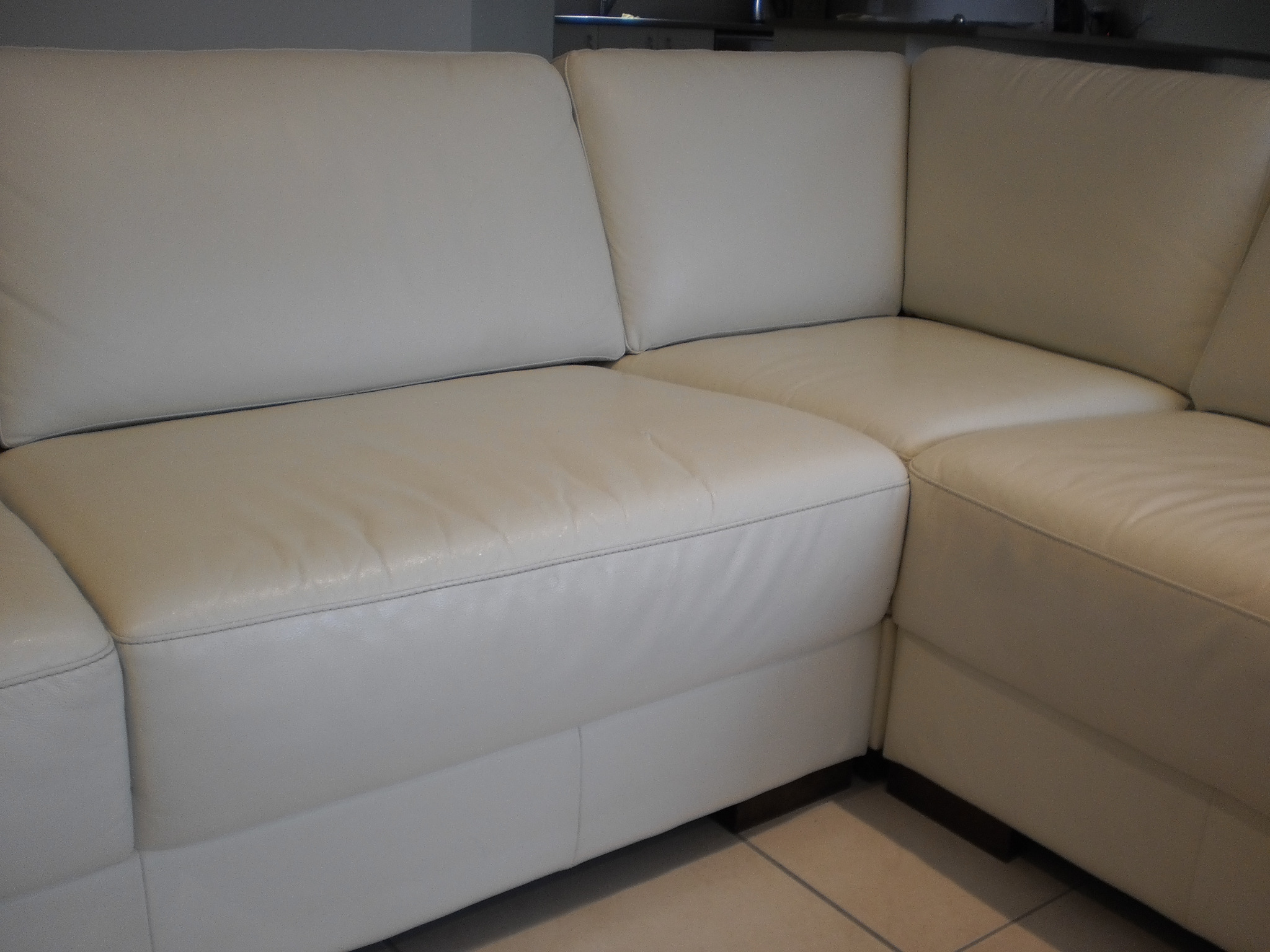 Leather following professional conditioning