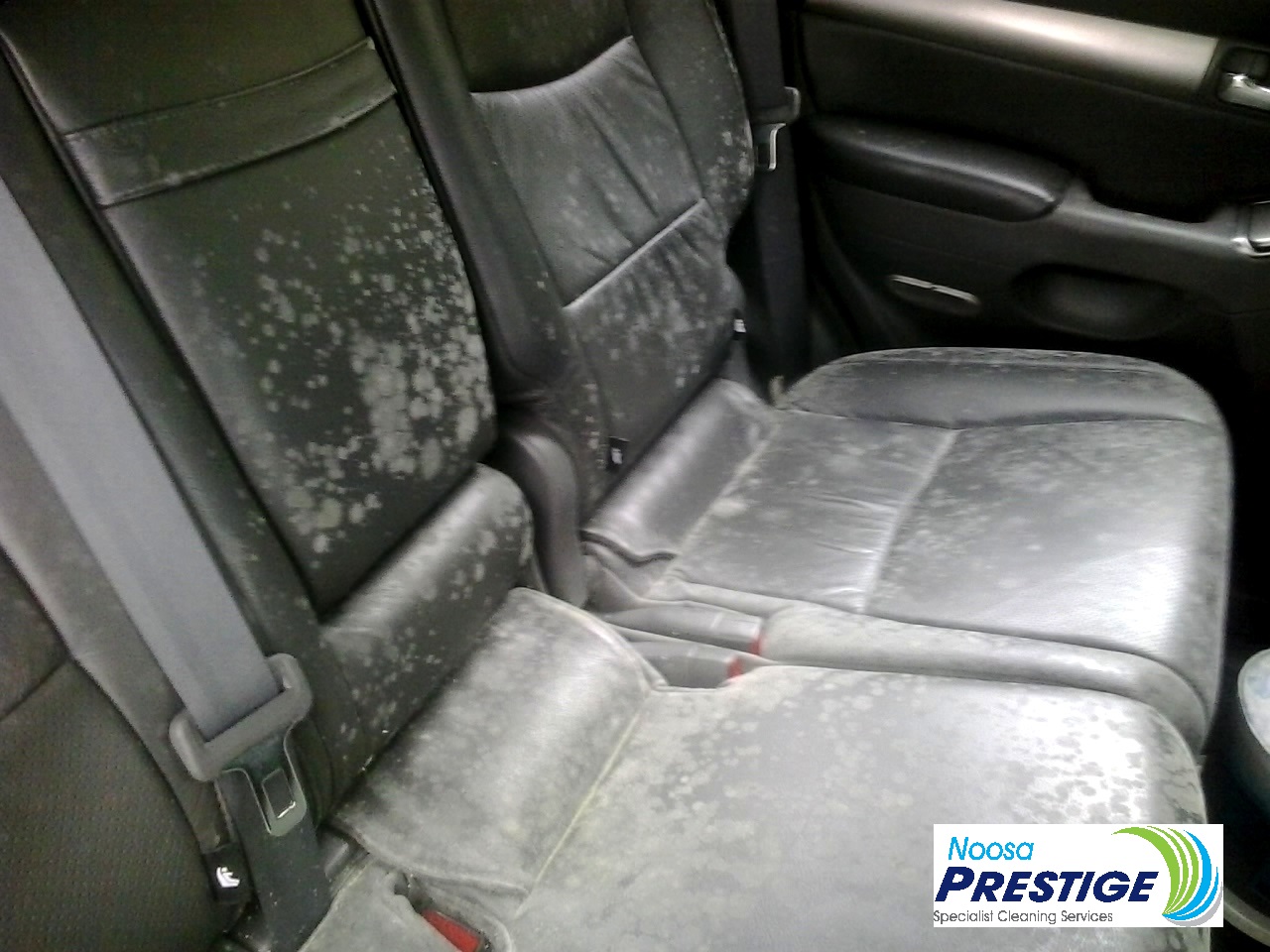 Mould affected vehicle leather before treatment